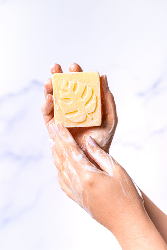 Acondicionador Sólido VIVA | Nutrición real